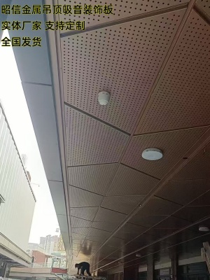 吊顶装饰板300
